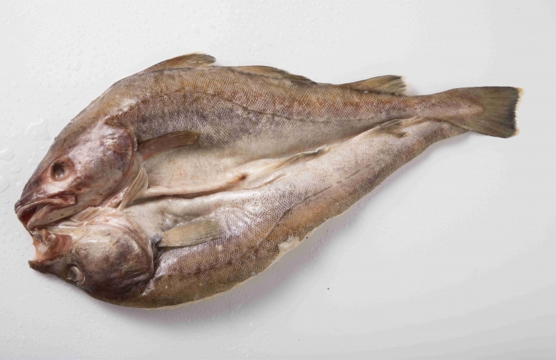 FROZEN COD