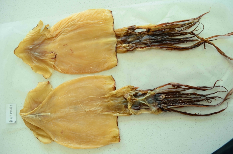 DRIED SQUID (GIGAS)